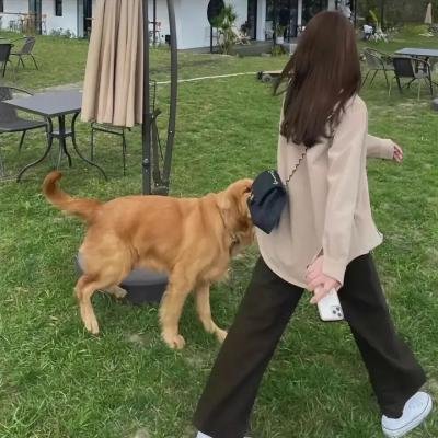 勇敢的心3